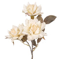 Buket rose vintage look