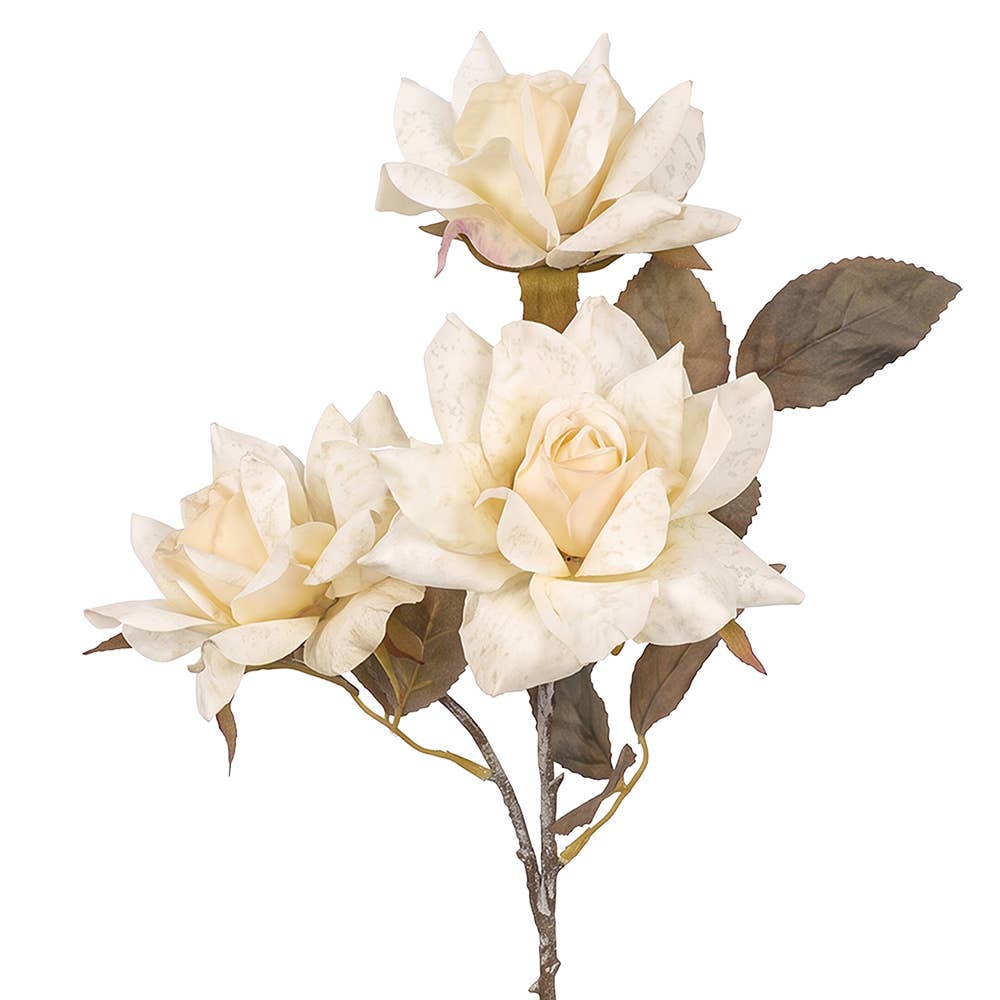 Buket rose vintage look