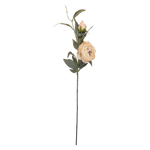 Blomster stilk med pæoner