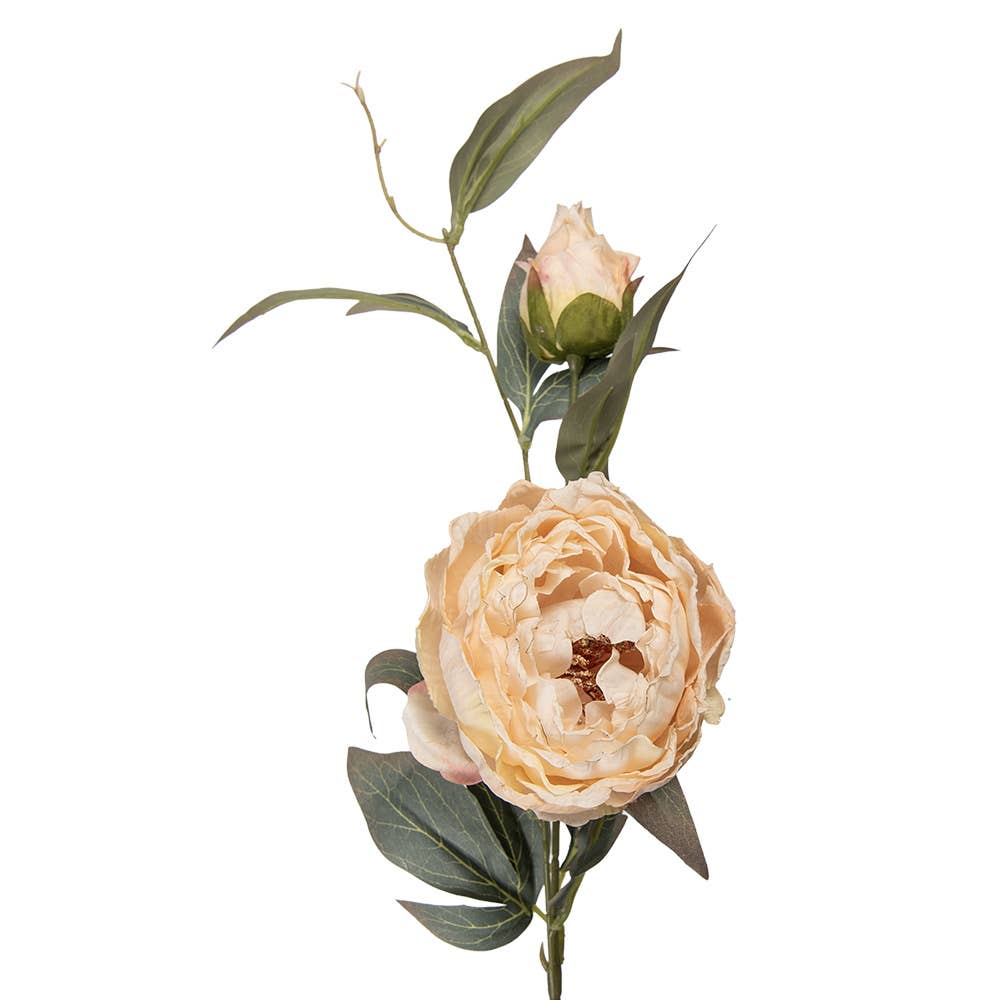 Blomster stilk med pæoner